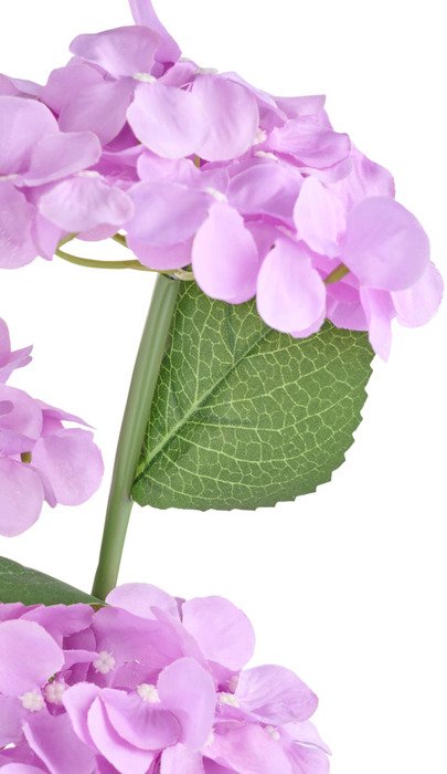 Solcelleblomst Hortensia - Garden®